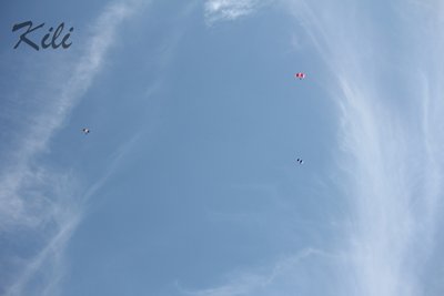 75-Jets-over-czech-2015.JPG